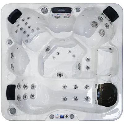 Avalon EC-849L hot tubs for sale in Dubuque