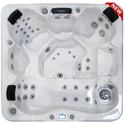 Avalon-X EC-849LX hot tubs for sale in Dubuque